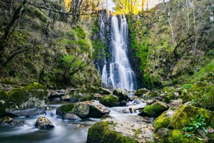 Switzer Falls waterfall surrounded by lush greenery and rocky terrain in Angeles National Forest, California