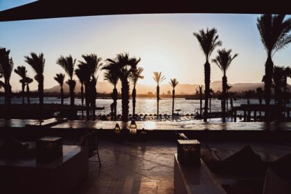 Sunset resort scene with palm trees and water for recommended vacation spots.