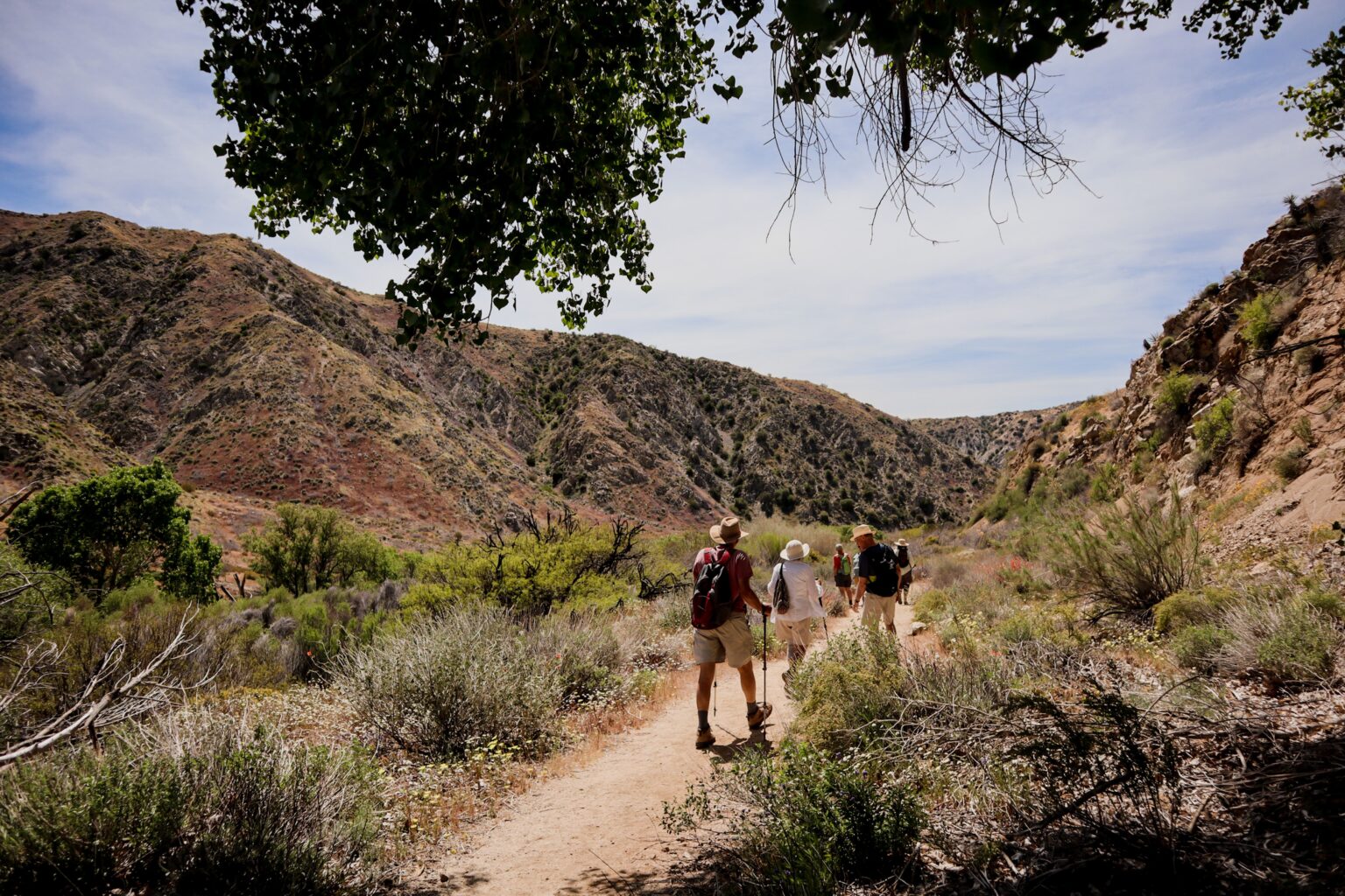 Best hiking trails in the US shown by a hiker on a mountain ridge trail with wide valley views
