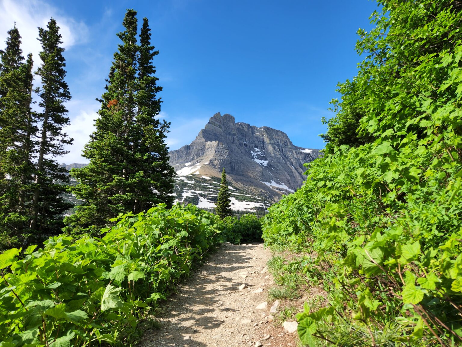 Glacier National Park hiking shown by an alpine trail below jagged peaks and a turquoise lake