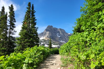 Glacier National Park hiking shown by an alpine trail below jagged peaks and a turquoise lake
