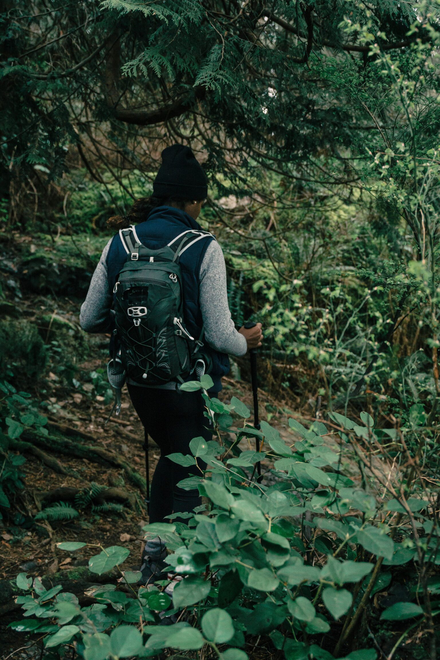 Best hiking trails in San Diego shown by a coastal cliff trail above the Pacific Ocean