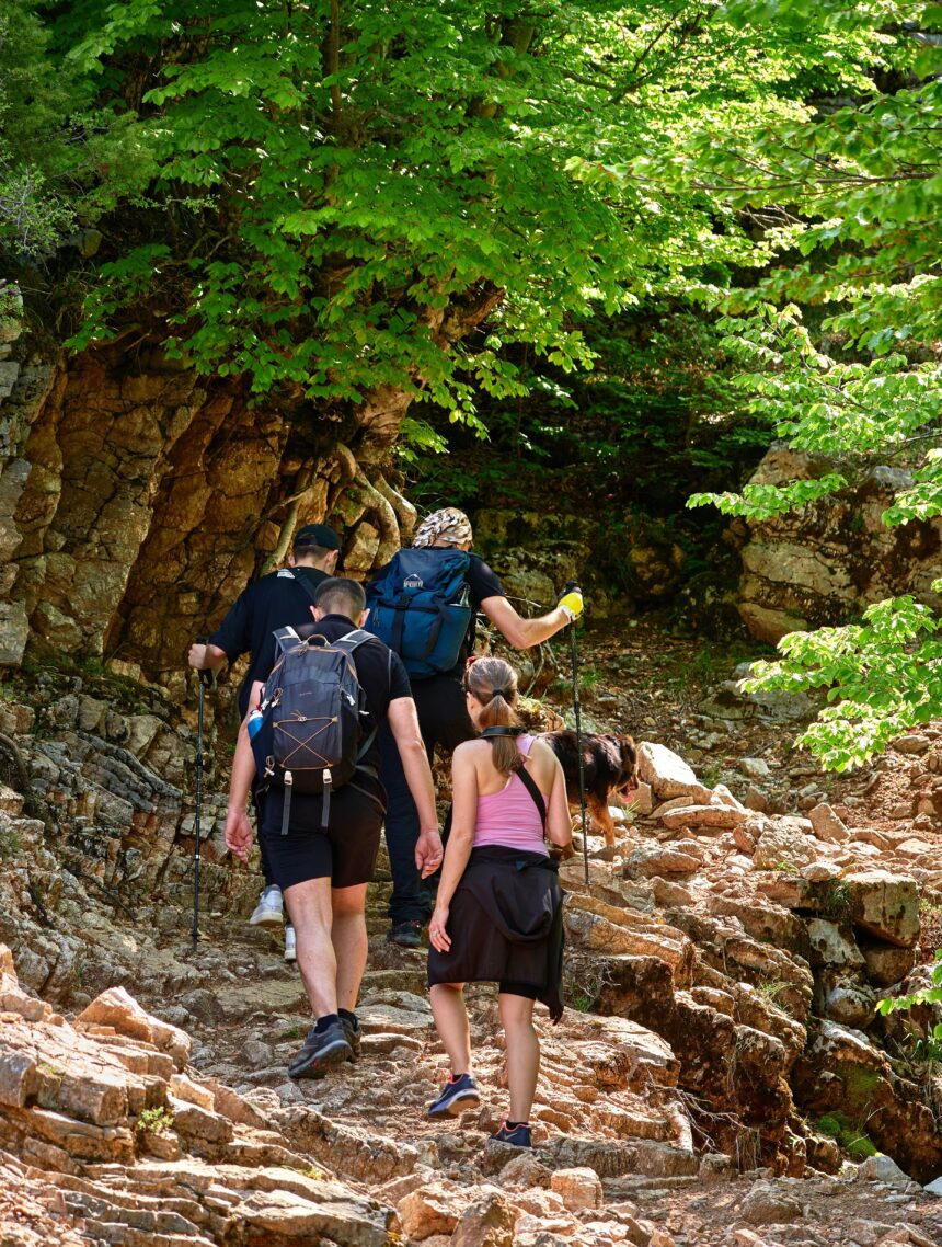 Hiking trails on Oahu shown by a green ridge trail above turquoise ocean bays